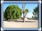 Un arbre????????